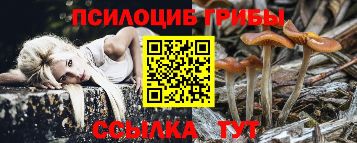 Санкт-Петербург  Псилоцибиновые грибы прущие грибы  наркошоп  Вход с VPN 