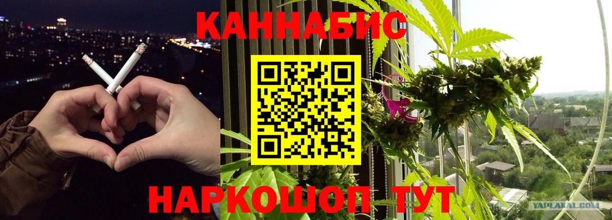 Псилоцибиновые грибы Санкт-Петербург